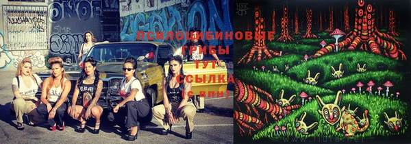 мдпв Кулебаки