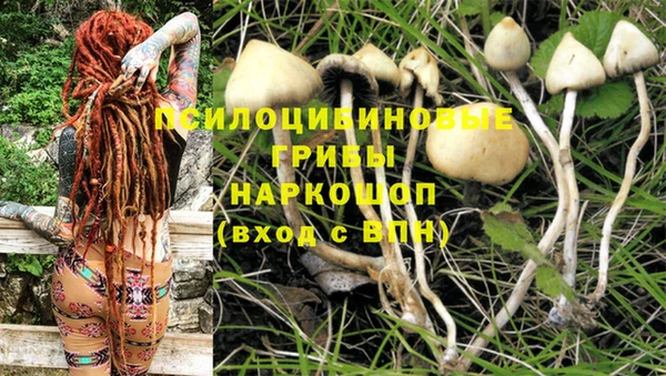 прущий лед Кукмор